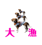 ビーグルとねこの日常（個別スタンプ：16）