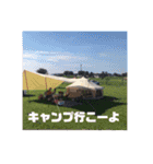 ビーグルとねこの日常（個別スタンプ：26）