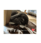 チョコLove（個別スタンプ：2）