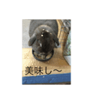 チョコLove（個別スタンプ：5）