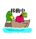 そこはかとなく汎用性の高いビーツ（個別スタンプ：36）