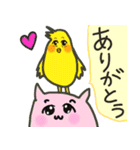 インコちゃん＆ねこちゃん（個別スタンプ：16）