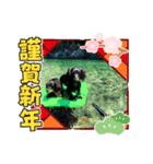 hakumura（個別スタンプ：3）