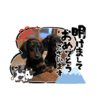 hakumura（個別スタンプ：8）