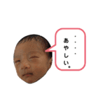 ふうたん( *¯ ꒳¯*)③（個別スタンプ：3）