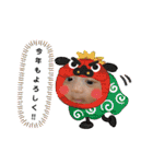 ふうたん( *¯ ꒳¯*)③（個別スタンプ：22）