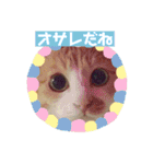 ネコスタンプス（個別スタンプ：4）