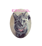 ネコスタンプス（個別スタンプ：18）