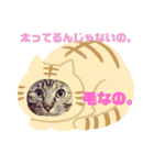 cat's chat.（個別スタンプ：1）