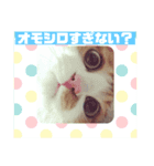 cat's chat.（個別スタンプ：4）