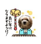 ハチオくん！③（個別スタンプ：2）