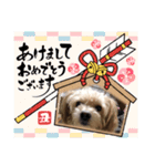 ハチオくん！③（個別スタンプ：3）