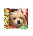 ハチオくん！③（個別スタンプ：5）