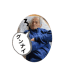 ぎろちゃん（個別スタンプ：9）