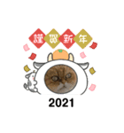 Happy New Cats2021（個別スタンプ：3）