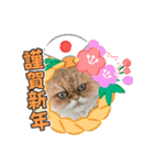 Happy New Cats2021（個別スタンプ：5）