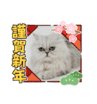 Happy New Cats2021（個別スタンプ：6）