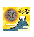 Happy New Cats2021（個別スタンプ：8）
