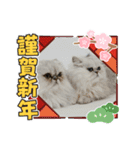 Happy New Cats2021（個別スタンプ：10）