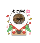 Happy New Cats2021（個別スタンプ：14）