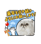 Happy New Cats2021（個別スタンプ：16）