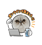 Happy New Cats2021（個別スタンプ：17）