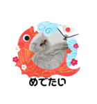 Happy New Cats2021（個別スタンプ：18）