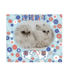 Happy New Cats2021（個別スタンプ：23）
