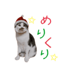 はるつないくらぴざ（個別スタンプ：7）