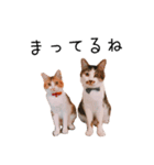 はるつないくらぴざ（個別スタンプ：12）