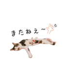はるつないくらぴざ（個別スタンプ：16）