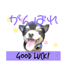英語と日本語で返事！（個別スタンプ：3）
