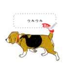 ビーグル犬のクリスマス  絵本スタンプ（個別スタンプ：5）
