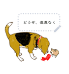 ビーグル犬のクリスマス  絵本スタンプ（個別スタンプ：6）