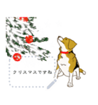 ビーグル犬のクリスマス  絵本スタンプ（個別スタンプ：13）