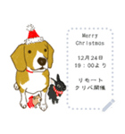 ビーグル犬のクリスマス  絵本スタンプ（個別スタンプ：16）