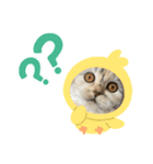 ちーちゃん No.4（個別スタンプ：5）
