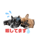 ルルとチャチャpart2（個別スタンプ：2）