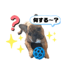 ルルとチャチャpart2（個別スタンプ：7）