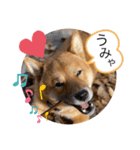 ぼく大和（個別スタンプ：3）