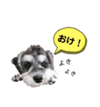 I'm BUZZ！！（個別スタンプ：1）