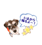 I'm BUZZ！！（個別スタンプ：11）