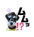 I'm BUZZ！！（個別スタンプ：17）