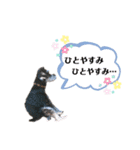 I'm BUZZ！！（個別スタンプ：19）