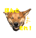 バイスタンプ（個別スタンプ：3）