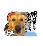 ジョワジョワ（個別スタンプ：2）
