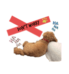 PEACE loves peace 4（個別スタンプ：7）