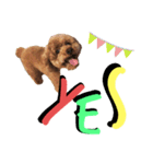 PEACE loves peace 4（個別スタンプ：8）
