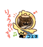 我が家のスター達（個別スタンプ：1）