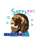 我が家のスター達（個別スタンプ：7）